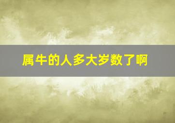 属牛的人多大岁数了啊