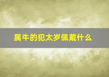 属牛的犯太岁佩戴什么