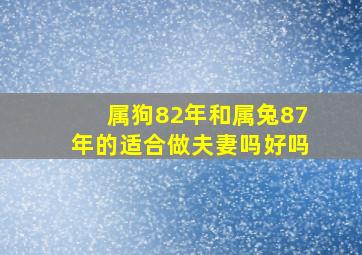 属狗82年和属兔87年的适合做夫妻吗好吗