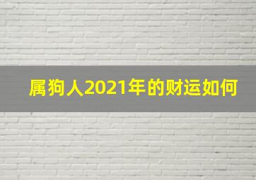 属狗人2021年的财运如何