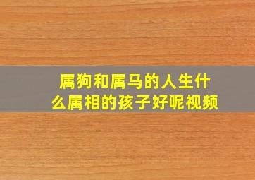 属狗和属马的人生什么属相的孩子好呢视频