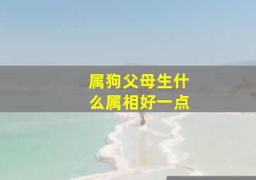 属狗父母生什么属相好一点