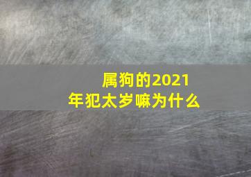 属狗的2021年犯太岁嘛为什么