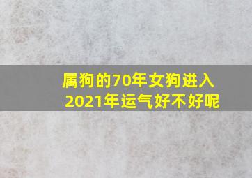 属狗的70年女狗进入2021年运气好不好呢