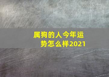 属狗的人今年运势怎么样2021