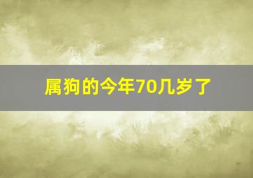 属狗的今年70几岁了