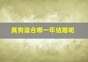 属狗适合哪一年结婚呢