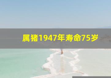 属猪1947年寿命75岁