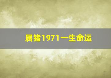 属猪1971一生命运