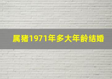 属猪1971年多大年龄结婚