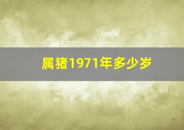 属猪1971年多少岁