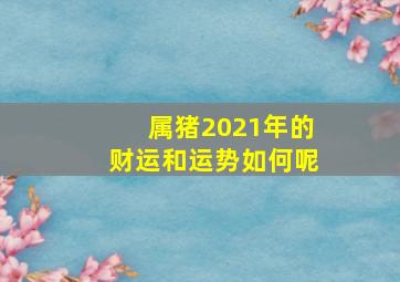 属猪2021年的财运和运势如何呢