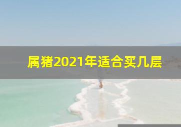 属猪2021年适合买几层