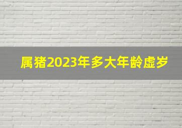 属猪2023年多大年龄虚岁