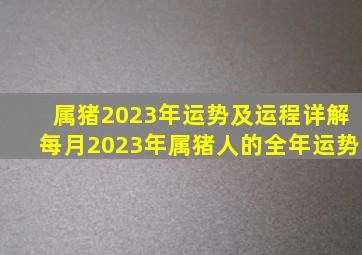 属猪2023年运势及运程详解每月2023年属猪人的全年运势