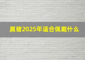 属猪2025年适合佩戴什么