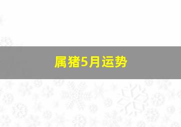 属猪5月运势