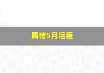 属猪5月运程