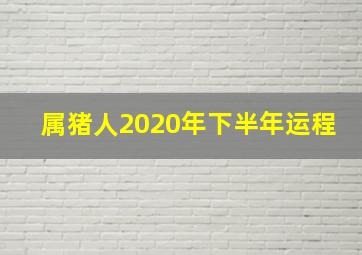 属猪人2020年下半年运程