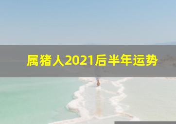 属猪人2021后半年运势