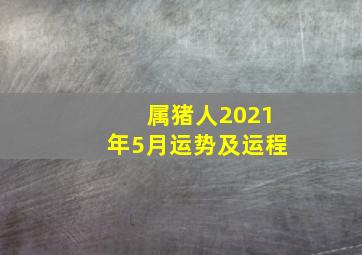 属猪人2021年5月运势及运程