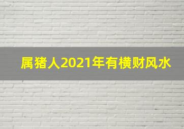 属猪人2021年有横财风水