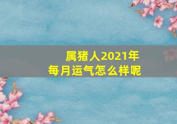 属猪人2021年每月运气怎么样呢