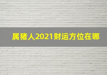 属猪人2021财运方位在哪