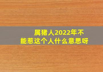 属猪人2022年不能惹这个人什么意思呀