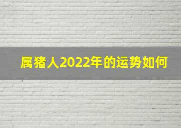 属猪人2022年的运势如何