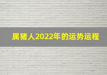 属猪人2022年的运势运程