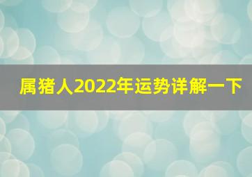 属猪人2022年运势详解一下