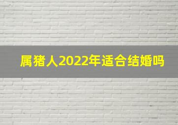 属猪人2022年适合结婚吗