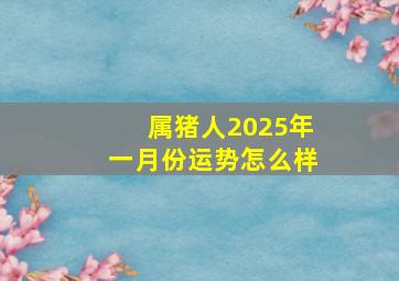 属猪人2025年一月份运势怎么样