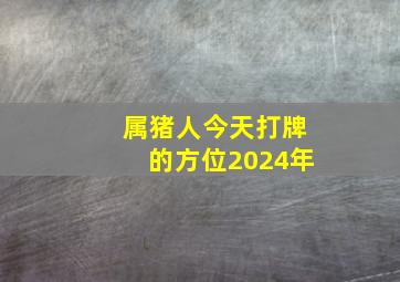 属猪人今天打牌的方位2024年