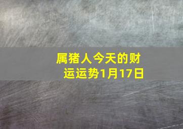 属猪人今天的财运运势1月17日