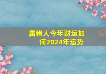 属猪人今年财运如何2024年运势