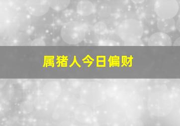 属猪人今日偏财