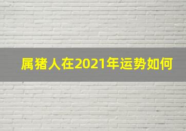 属猪人在2021年运势如何