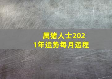 属猪人士2021年运势每月运程