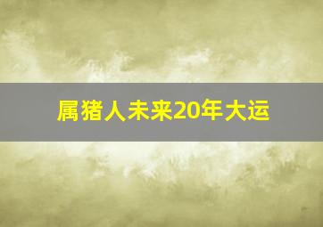 属猪人未来20年大运