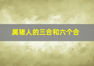 属猪人的三合和六个合