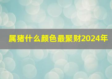 属猪什么颜色最聚财2024年