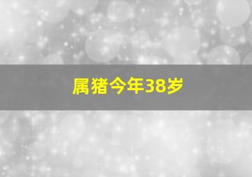 属猪今年38岁