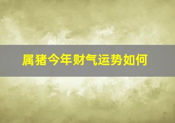 属猪今年财气运势如何