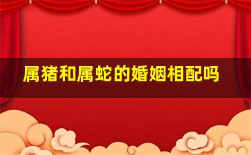 属猪和属蛇的婚姻相配吗