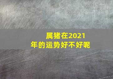 属猪在2021年的运势好不好呢