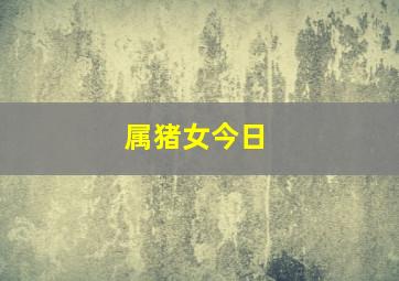 属猪女今日