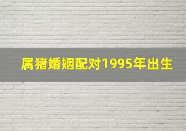 属猪婚姻配对1995年出生