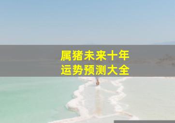 属猪未来十年运势预测大全